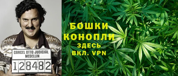 дурь Кинешма