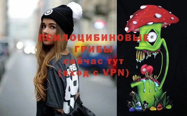 мескалин Каменка