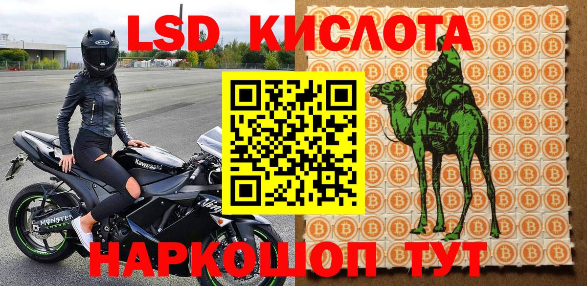 Псилоцибиновые грибы Кировск