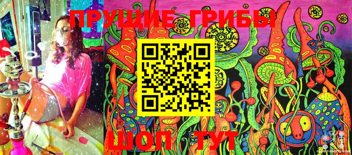 Кировск  Галлюциногенные грибы Cubensis  Вход с VPN  Псилоцибиновые грибы GOLDEN TEACHER 